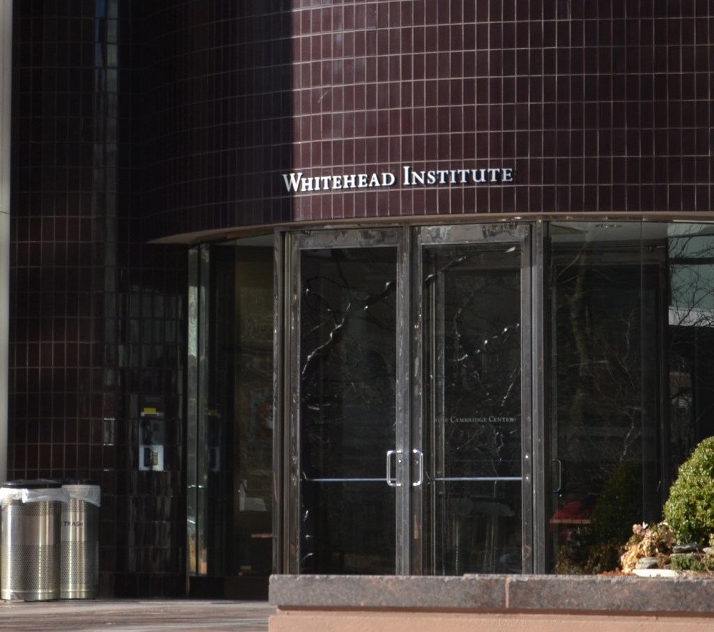 Whitehead Institute