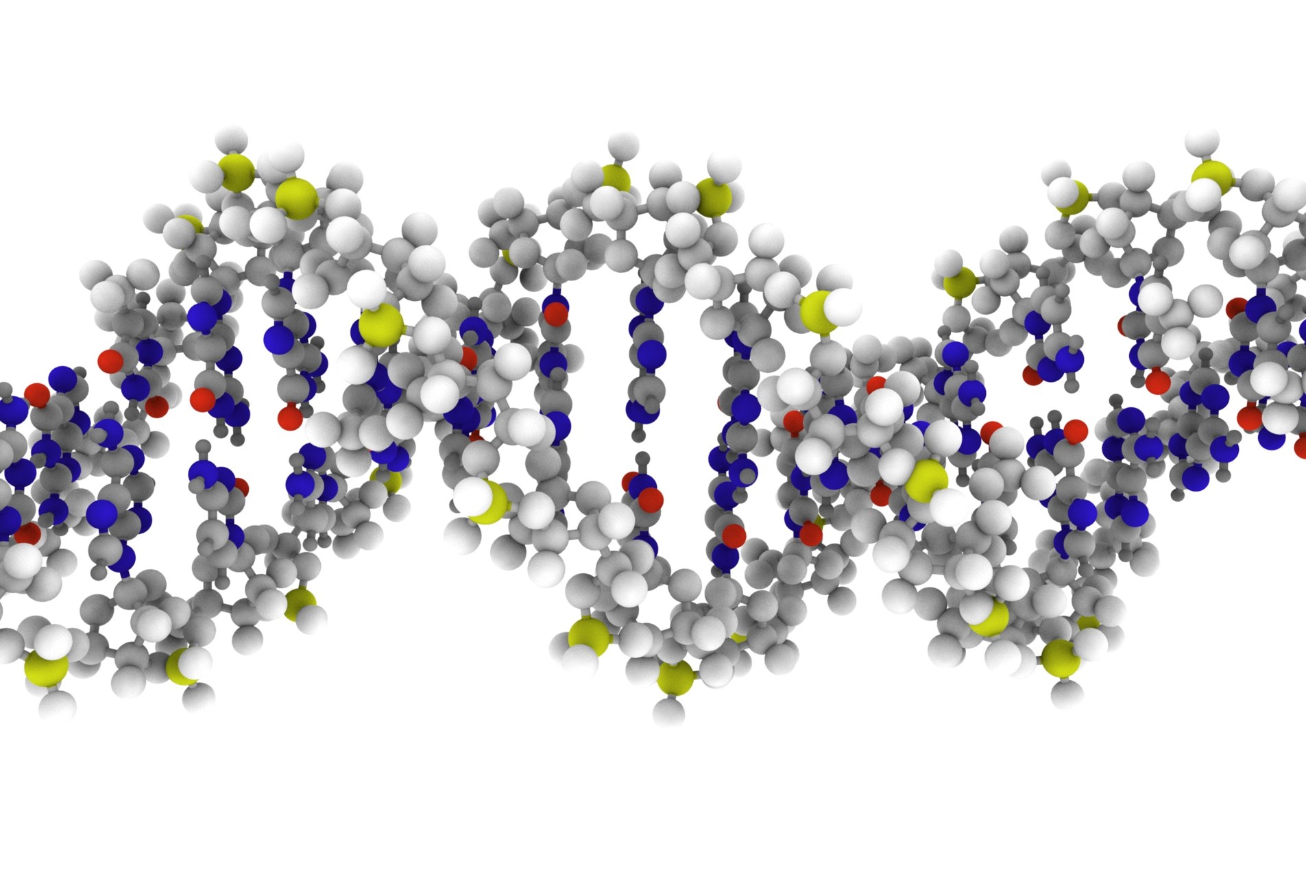 DNA molekyl
